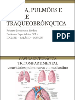 Pleura, Pulmoes e Traqueobronquial