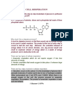 Cell Respiration Reviewer