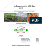 Elaboración de Estructura de Descomposición Del Trabajo (EDT)