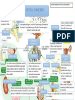 Mapa-Sistema Endocrino