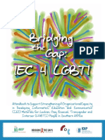 1BridgingTheGap IEC Handbook Important