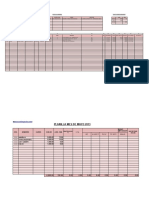 Planilla de Remuneraciones y Boletas de Pago