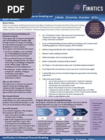 Advanced Financial Modeling Plus Merger & LBO Modeling (Finatics)