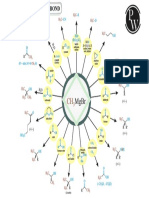 Grignard Reagent C C Bond Mind Map