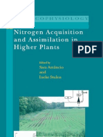 Nitrogen Acquisition and Assimilation in Higher Plants Plant Eco Physiology Volume 3