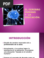 El Cerebro Humano y La Educación.