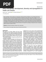 Brain Macrophage Development