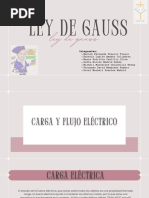 Ley de Gauss-Grupo 1.