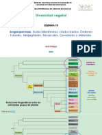 Semana 10 - Eudicots1