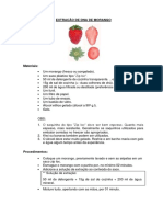 Práticas Experimentais - Extração de DNA