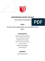 El Desarrollo Cognoscitivo en Los Primeros Tres Años