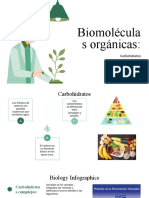 Biomoléculas Orgánicas