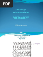 Embriología Sistema Reprductor Masc.y Fem.