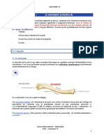 Cahier Galien Nantes Anatomie