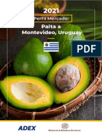 Perfil Mercado de Palta A Uruguay