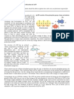 ATP Worksheet