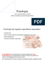 Unidad 3 Fisilogia Del Aparato Reproductor Masculino.