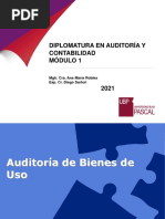 Bienes de Uso