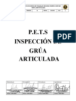 Sso - PR.047 Pets de Inspeccion Grua Articulada