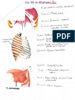 Terapia Cardiorrespiratoria