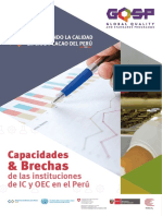 M V Capacidades Brechas