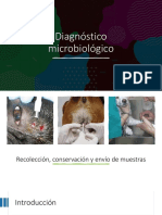 DX Microbiológico