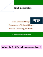 Artificial Insemination