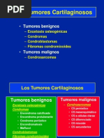 06 - Condromas