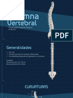 Columna Vertebral