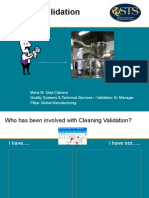 18apr2013 CleaningValidationOverview