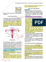 03 - Endometriose