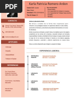 Curriculum Vitae Karla Patricia Romero