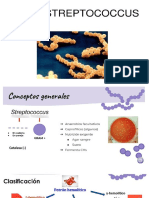 Sesion 4-2 Streptococcus