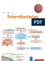 Sesion 5-3 Enterobacterias