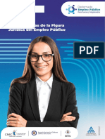 4.0 Caráctaeristicas Empleo Público