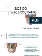 AULA 4 - Ossos Do VISCEROCRÂNIO - 2023