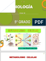 10 Biología - 5° Grado