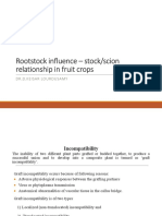 Lecture 11 HOR 111 Stock Scion Relationship