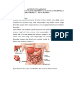 LP Abdominal Pain