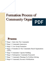 Community Organizing Process