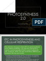 Photosynthesis March - April