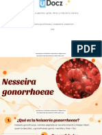 Neisseria Gonorrhoea 421301 Downloadable 3693199