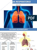 09 - Respiratorio