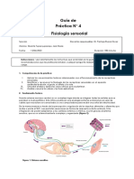 Guía de Práctica N 4