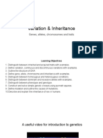 Biology Grade 8 - Variation & Inheritance