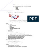 Anatomia - Sistema Respiratorio