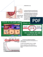 Transporte de Co2
