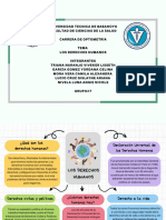 Los Derechos Humanos