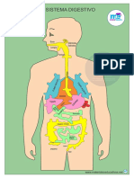 Cuerpo Humano Tamac391a A4