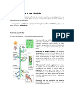 Nutricion El Mantenimiento de La Vida